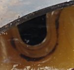 IMG_20200820_130653475.jpg