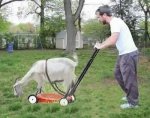 goat mower.jpg