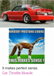 Facebook-It-makes-perfect-sense-Car-Throttle-af8ff1.png
