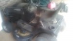 IMG_20201024_083558.jpg