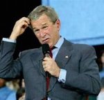 bush.jpg