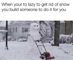 when-your-to-lazy-to-get-rid-of-snow...-snow-meme.jpg