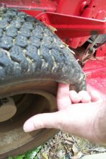 tire whole.jpg