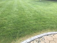 42E51387-53C0-4692-A3B0-555517E73F73.jpeg