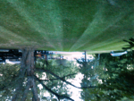 ForumRunner_20140827_220211.png