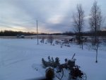 3 moose 001.jpg