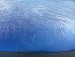 IMG_0090.jpg