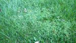 WP_20140825_001.jpg