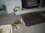 100_1117.jpg