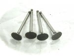BMCAUTOS_MGTDvalve-set.jpg BMCAUTOS_MGTDvalve-set.jpg