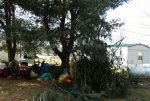 DSCF0708.JPG