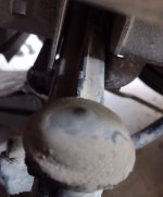 IMG_20220726_133840430~2.jpg