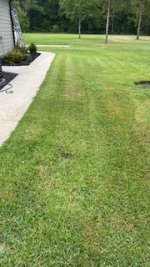 Mow 2.jpg Mow 2.jpg