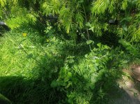 20220914_094839.jpg 20220914_094839.jpg