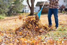 raking-vs-mulching.jpg