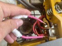 IMG_3684.jpeg IMG_3684.jpeg