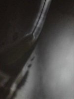 IMG_2921.jpeg