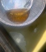 Oil 5.jpg