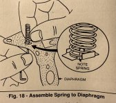 Briggs diaphram.jpg Briggs diaphram.jpg
