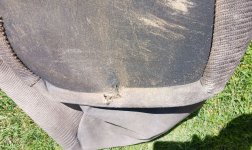 CbagM1.jpg