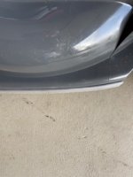IMG_3335.jpeg IMG_3335.jpeg