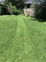 IMG_1406.jpeg