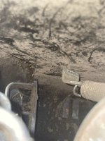 IMG_3685-min.jpeg IMG_3685-min.jpeg