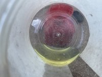 IMG_6180.JPEG