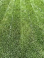IMG_2896.jpg