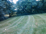 ForumRunner_20140904_215910.png ForumRunner_20140904_215910.png