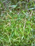 image-2673590359.jpg