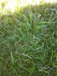 image-428920218.jpg