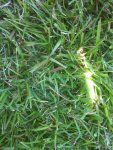 image-3759972107.jpg