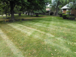 ForumRunner_20140911_212438.png ForumRunner_20140911_212438.png