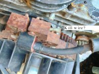 1 coil.jpg