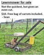 1755313026168.png