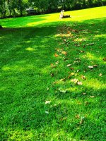 20250905_141408.jpg