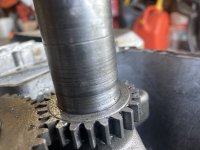 IMG_6678.jpeg