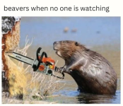 1758810033033.png
