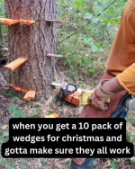 1758881153346.png