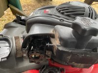 IMG_2335.jpeg