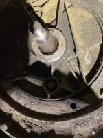 IMG_4313.jpeg IMG_4313.jpeg