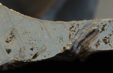 P1044022Crop1.JPG