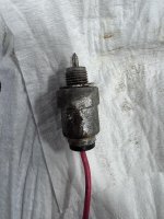 IMG_6610.jpeg