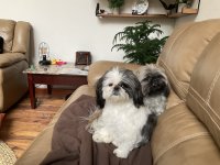 IMG_5843.jpeg