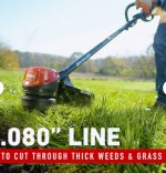 toro 2.jpg toro 2.jpg