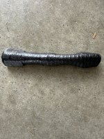 IMG_8209.jpeg