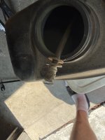 IMG_1376.jpeg IMG_1376.jpeg