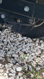 IMG_3902.jpeg
