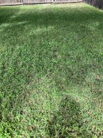 IMG_0361.JPG IMG_0361.JPG